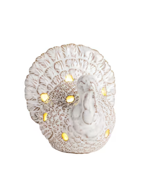 White Turkey Light-Up Sitter