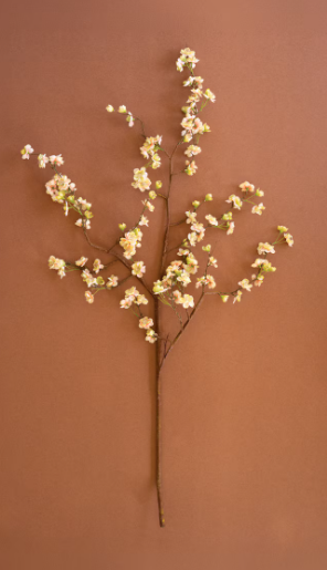 Blossom Branch