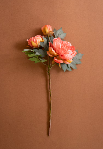 Artificial Peony Spray