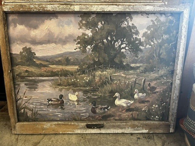 Mallard on Pond