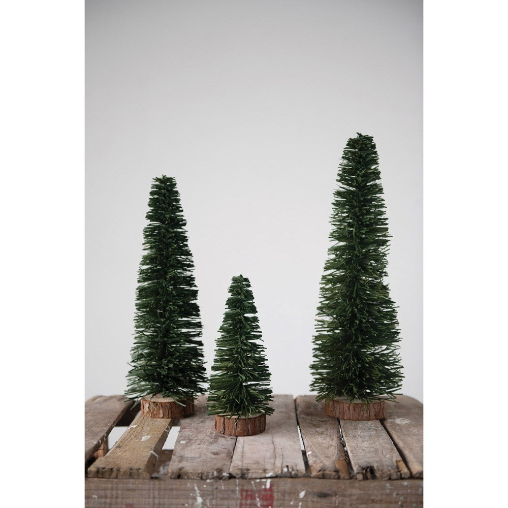 Dark Green Bottle Brush Tree