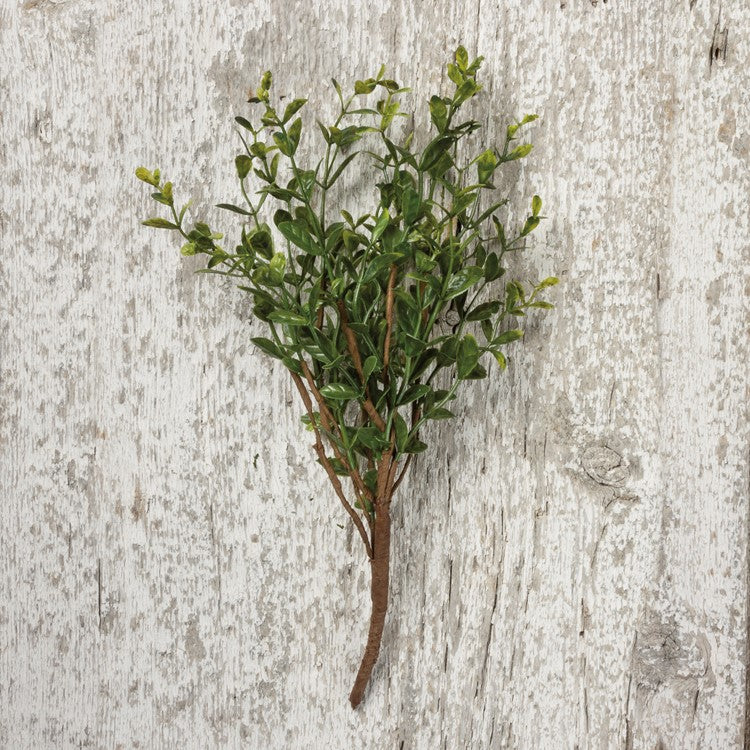 Boxwood Pick