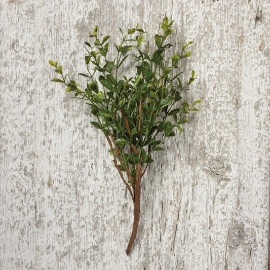 Boxwood Pick