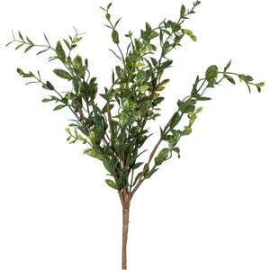 Boxwood Pick