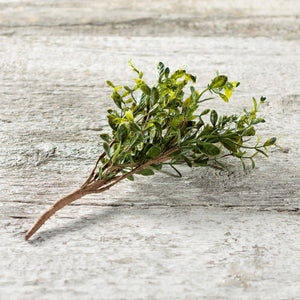 Boxwood Pick