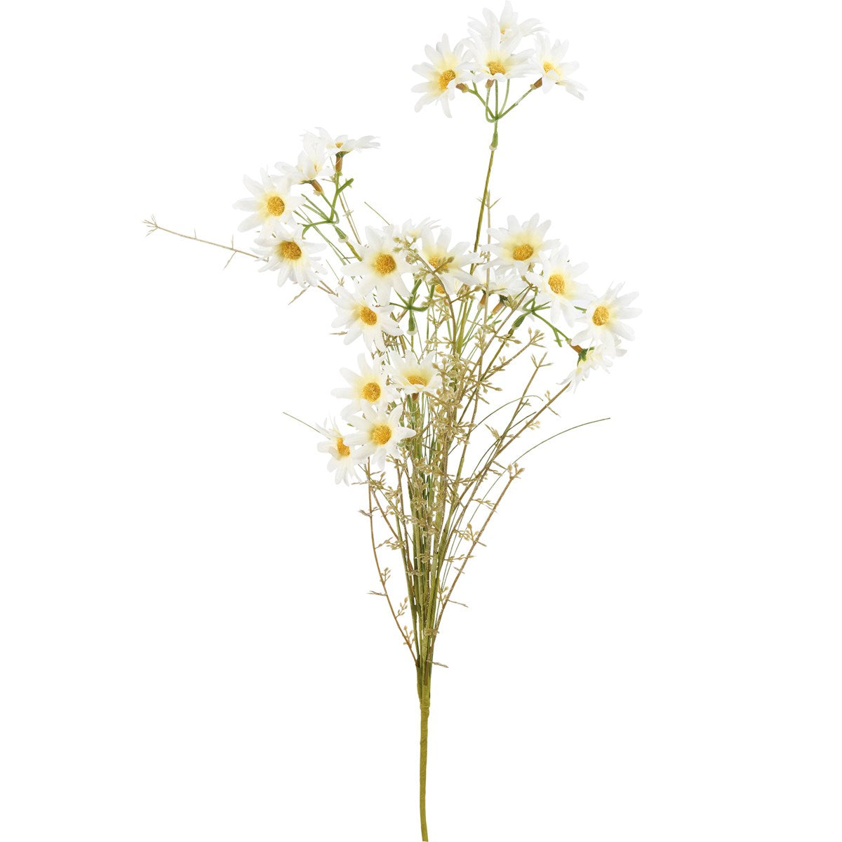 Daisies Pick