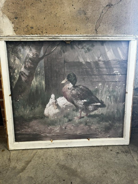 Mallard in White Frame