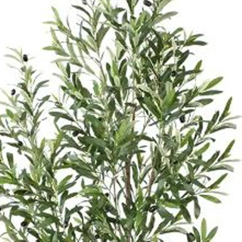 7" Green Artificial Olive In Cylindrical White Cement Pot