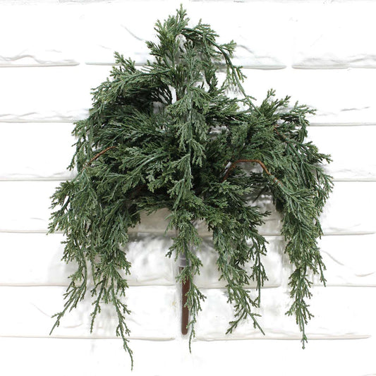 Darl Green Juniper Pick