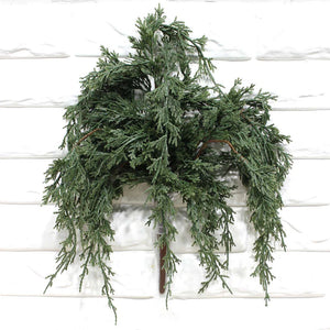 Darl Green Juniper Pick