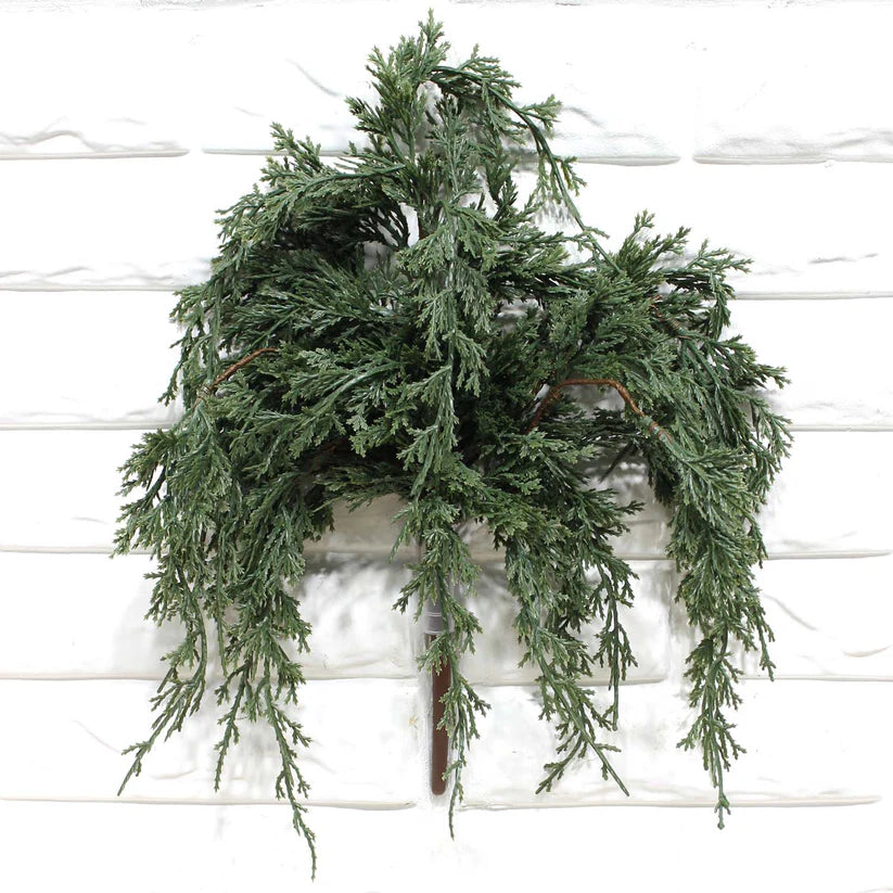 Darl Green Juniper Pick