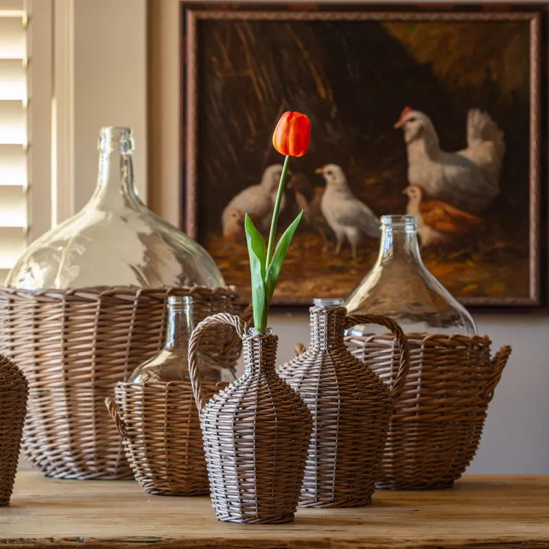 Estate Garden Tulip Orange