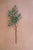Artificial Olive Branch
