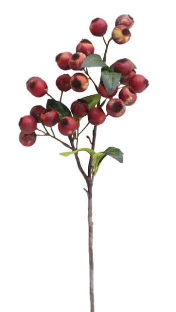Crabapple Red Pick