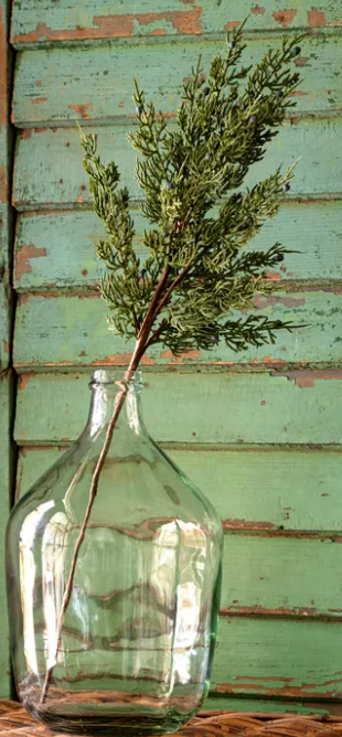 Juniper Stem