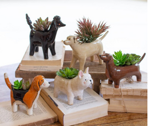 Ceramic Dog Planters
