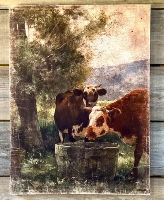 Cool Water In The Pasture Gallery Wrapped Aged Print