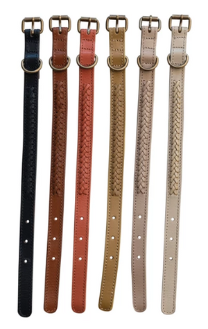 Braided Leather Dog Collar w/ Metal Buckle, 6 Colors, Medium