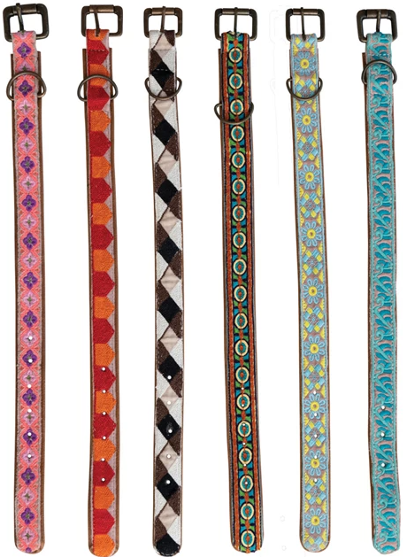 Cotton & Leather Dog Collar w/ Embroidery & Metal Buckle, Multi Color, 6 Styles, Medium