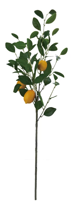 Faux Lemon Tree Branch