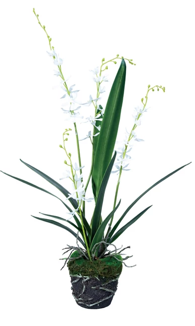 Faux Orchid w/ Faux Moss & Exposed Roots