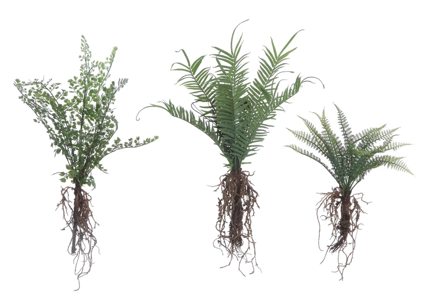 Faux Fern with Exposed Roots