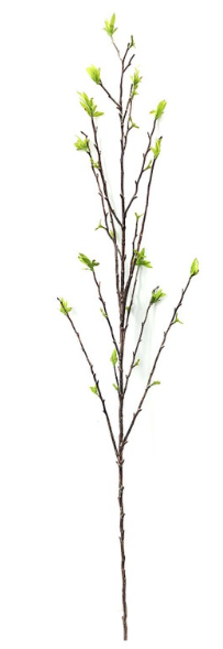 Budding Willow Branch 39"