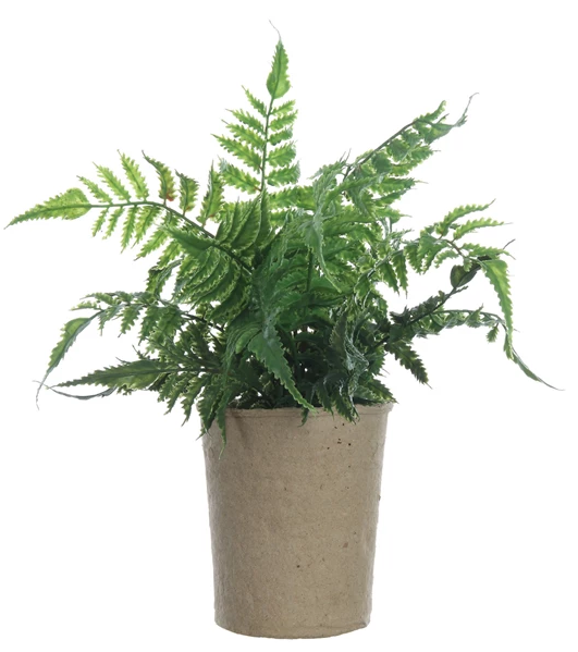 Faux Fern in Paper Pot