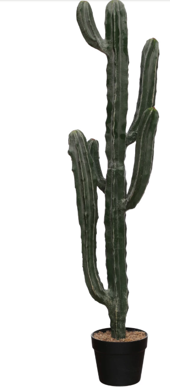 Faux Myrtle Cactus in Plastic Pot with Pebbles- Small