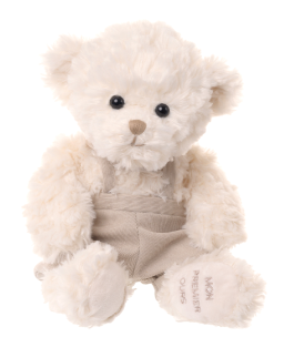 Wyatt The Bear