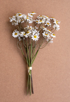 Faux Chamomile Bundle / White