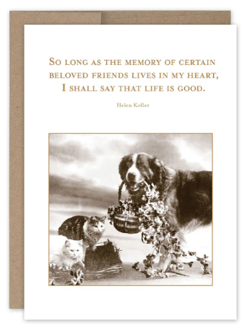 Life Is Good Pet Sympathy - Shannon Martin designs