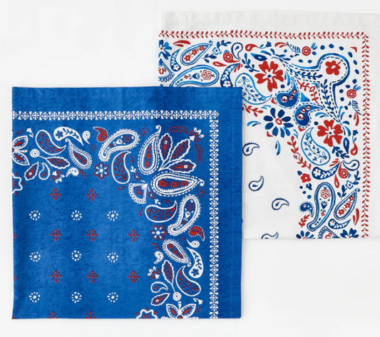 American Holiday Picnic Cloth