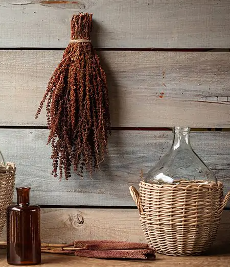 Dried Autumn Grass Sheaf