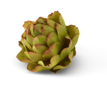 4 Inch Green Artichoke  Item