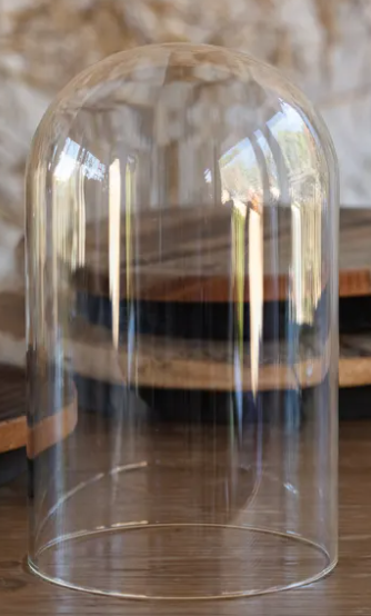 Large Glass Dome Without Knob