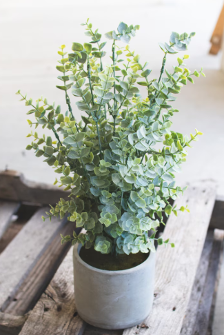 Artificial Boxwood In a Cement Pot