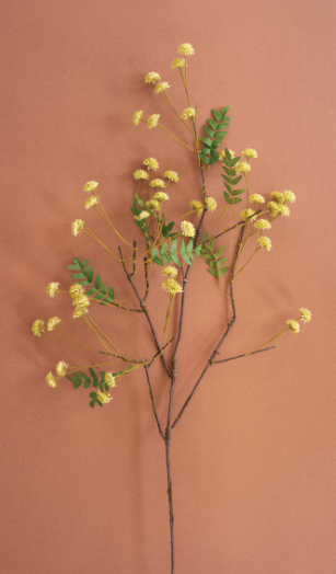 Botanica Stem