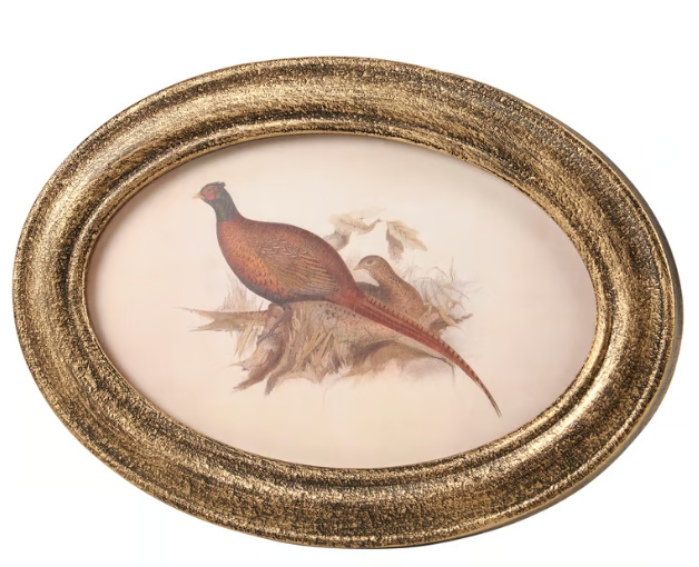 Pheasant Framed Art