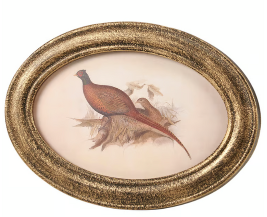 Pheasant Framed Art