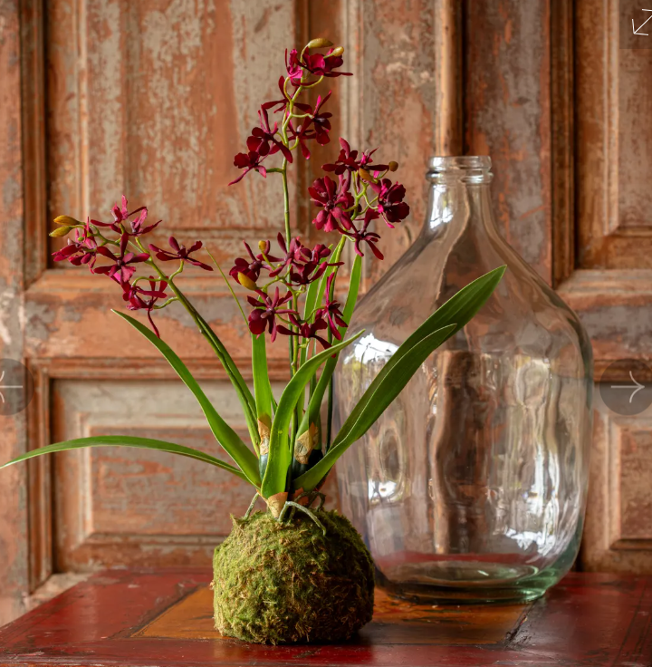 Maroon Mini Orchard Large Moss Ball