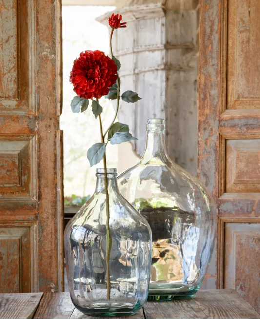 Sangria Border Dahlia