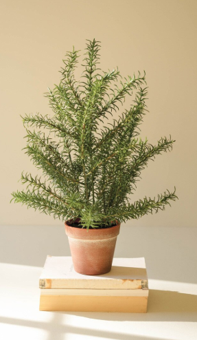 Artificial Rosemary Plant in Faux Terracotta Pot