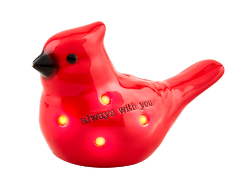 Cardinal Light-Up Sitter