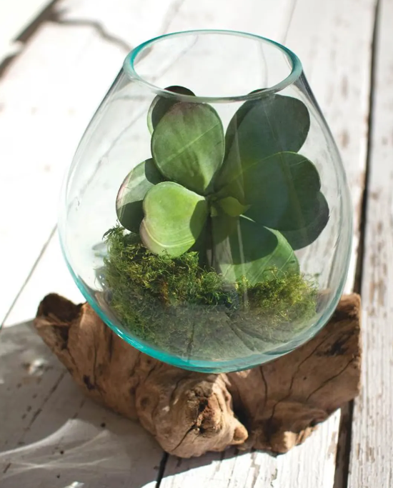 Large Blown Glass Bowl on Driftwood Base