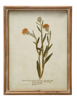 Wood Framed Glass Wall Décor w/ Botanical, Multi Color