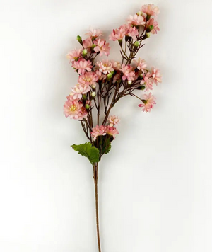 #3 Sweet Blossom Peach