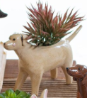 Ceramic Dog Planters
