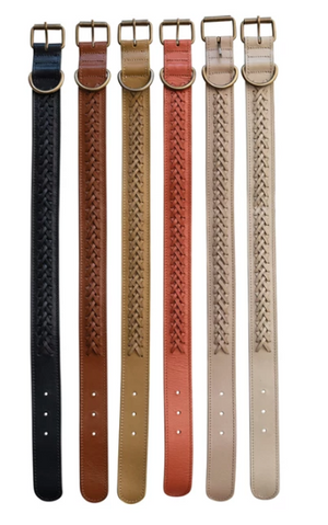 Braided Leather Dog Collar w/ Metal Buckle, 6 Colors, Large