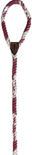 6' Braided Cotton Rope & Leather Dog Leash w/ Metal Clasp